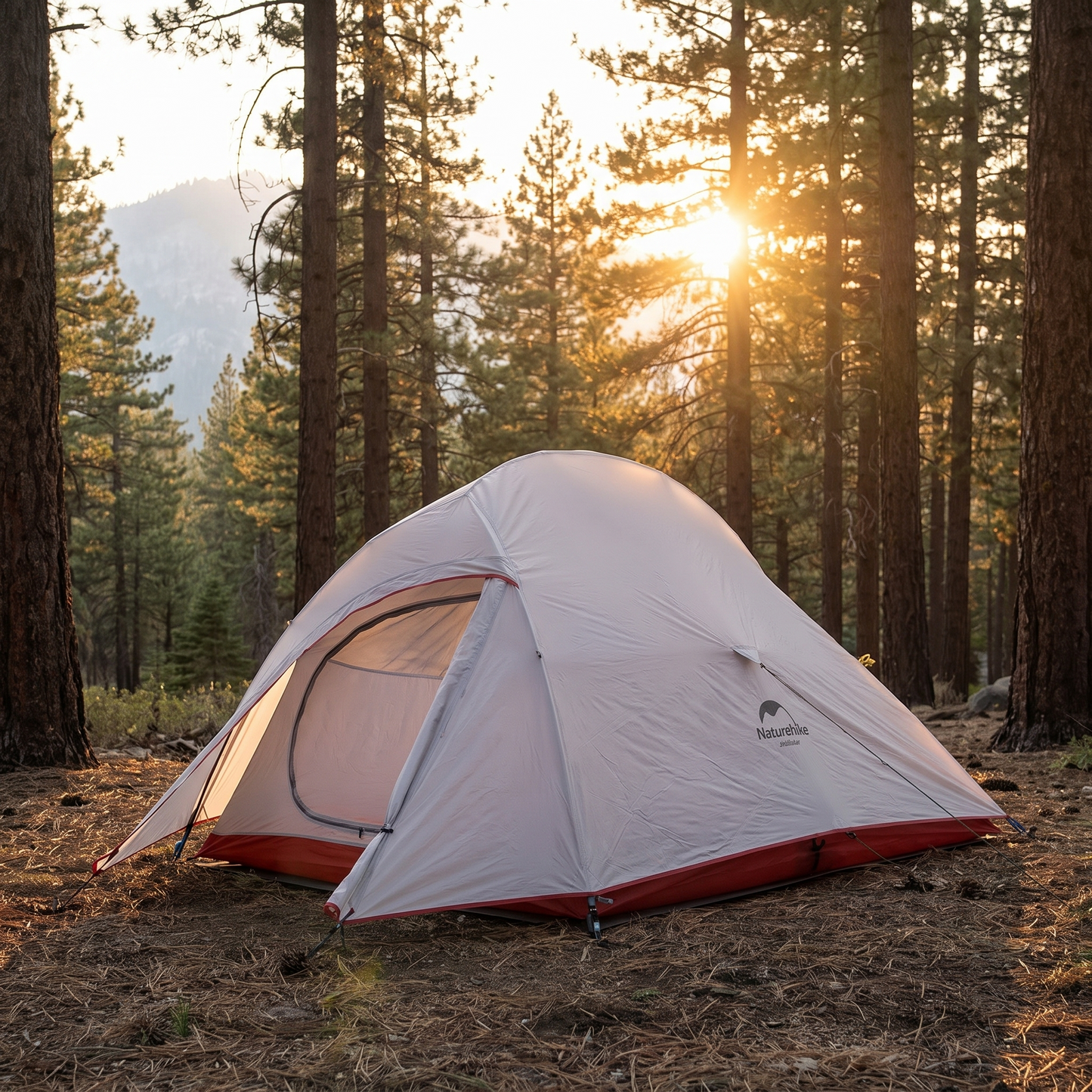 Backpacking tent among pines at golden hour