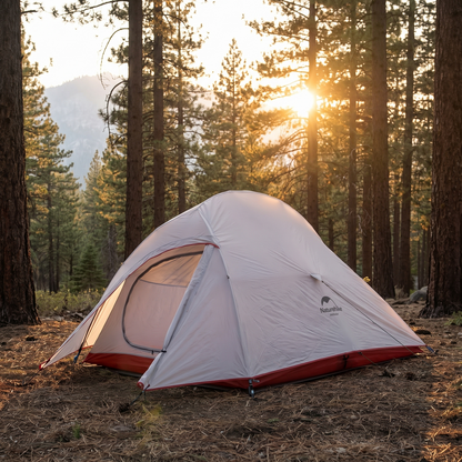 Backpacking tent among pines at golden hour